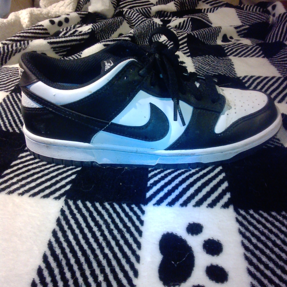 Nike dunks